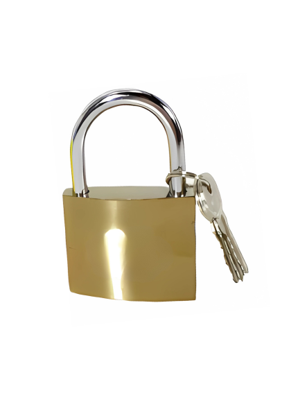 CANDADO BRONCE PEGASUS 38 MM